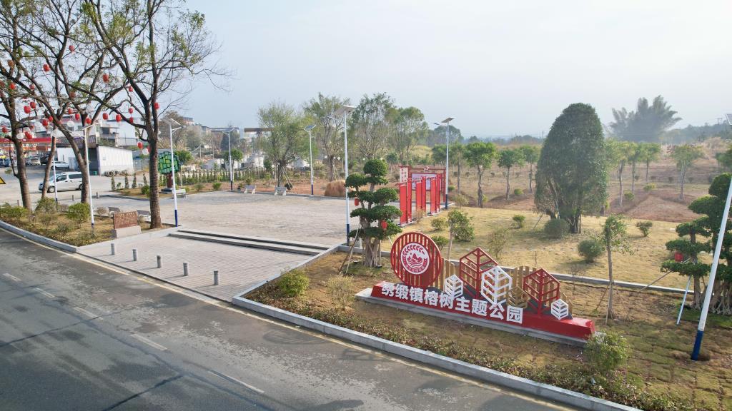 655040.jpg