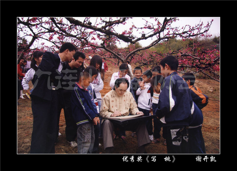 桃花节摄影大赛获奖作品（二）