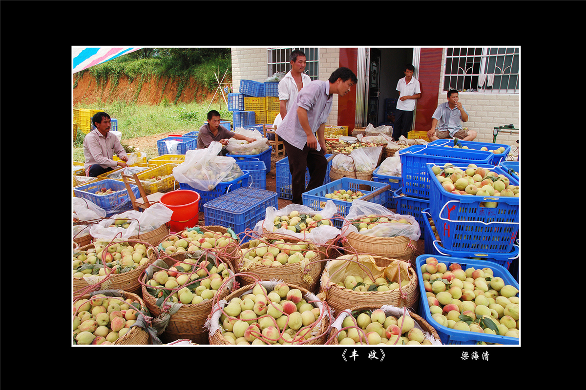 梁海清《丰收》